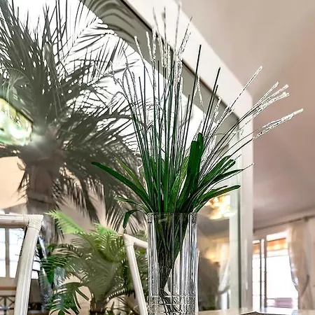 别墅 厄尔维里杜克别墅 阿德耶